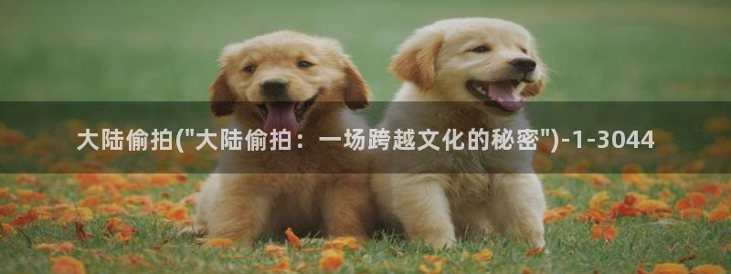 亚洲第一偷拍区