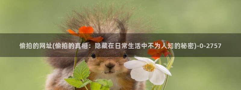 中国性视频偷拍