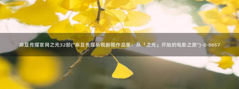 麻豆视频 合集下载：麻豆传媒官网之光32部(\
