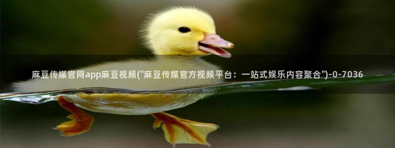 麻豆视频热门完整版：麻豆传媒官网app麻豆视频(