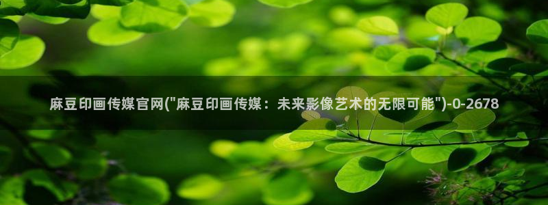 麻豆最新最新：麻豆印画传媒官网(\
