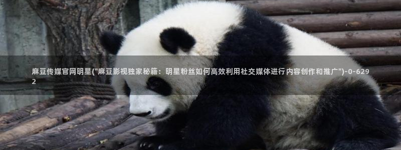 麻豆视频 高清页面：麻豆传媒官网明星(\