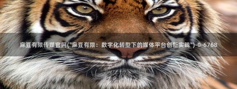 麻豆视频短片页面：麻豆有限传媒官网(\