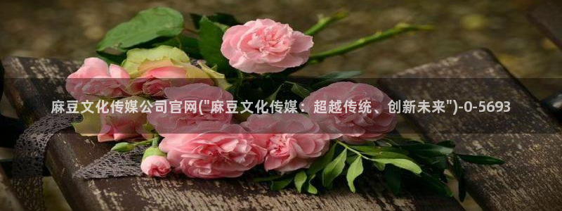 麻豆视频官方高清：麻豆文化传媒公司官网(\