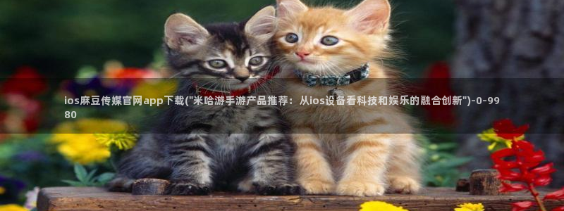 麻豆 资源：ios麻豆传媒官网app下载(\