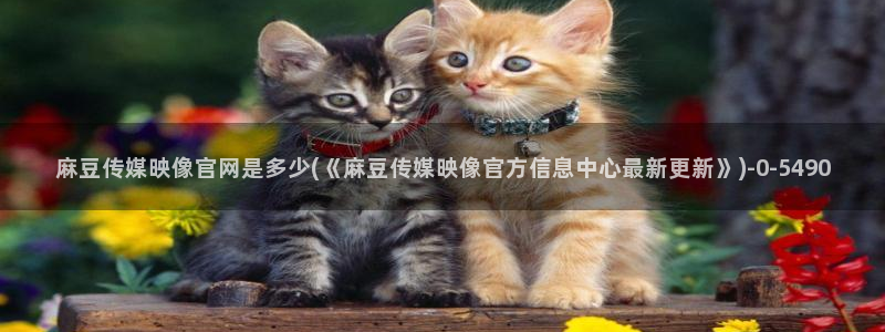 麻豆视频最新资源：麻豆传媒映像官网是多少(《麻豆传媒映像官方信息中心最新更新》)