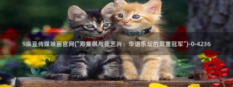 麻豆 更新专区：9麻豆传媒映画官网(\