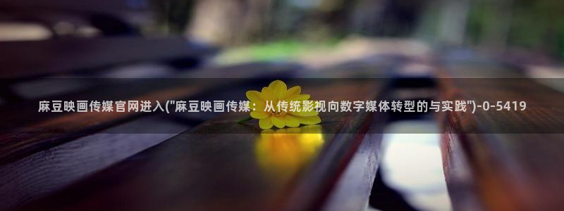 麻豆视频高清视频：麻豆映画传媒官网进入(\