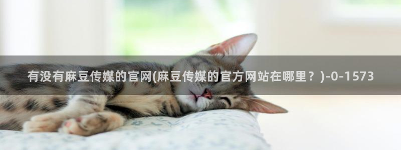 麻豆视频 资源更新：有没有麻豆传媒的官网(麻豆传媒的官方网站在哪里？)