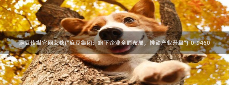 麻豆视频 合集高清：麻豆传媒官网艾秋(\