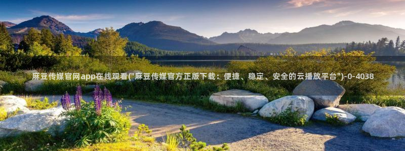 麻豆视频 入口在线看：麻豆传媒官网app在线观看(\