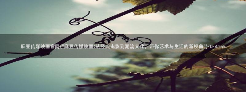 麻豆视频官方完整版：麻豆传媒映画官网(\