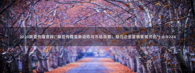 麻豆视频 更新资源：2020麻豆传媒官网(\