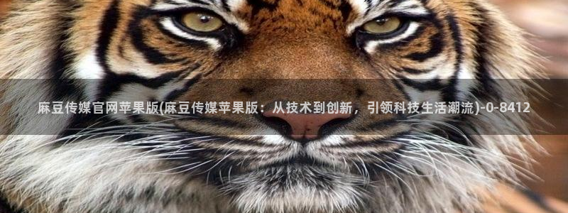 麻豆视频 官方下载：麻豆传媒官网苹果版(麻豆传媒苹果
