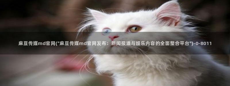 麻豆 完整版在线看：麻豆传媒md官网(\