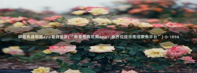 麻豆视频在线看推荐：麻豆传媒视频app官网最新(“麻